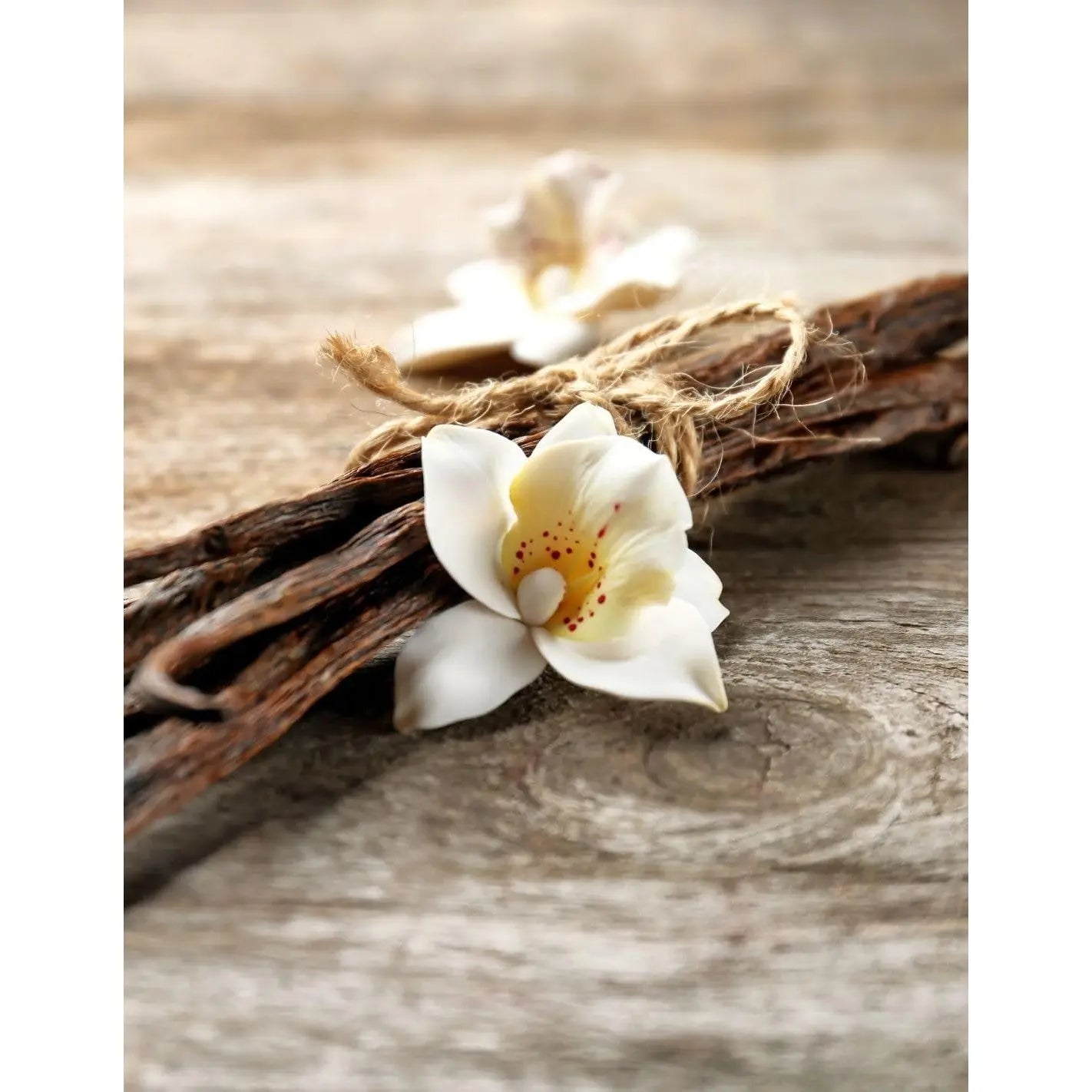 Goatier Esprit gousse de vanille 200 ML - Cpourtoi.Net