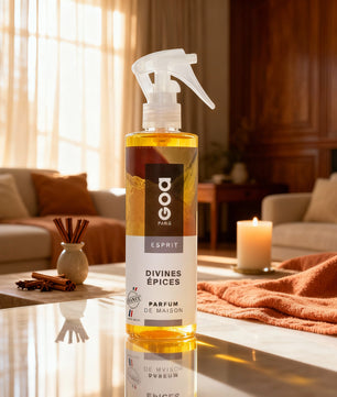 Goa Esprit Divines Épices - Parfum Frais, Maison Confort - Cpourtoi.Net