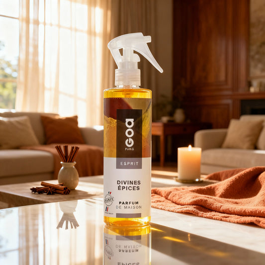 Goa Esprit Divines Épices - Parfum Frais, Maison Confort - Cpourtoi.Net