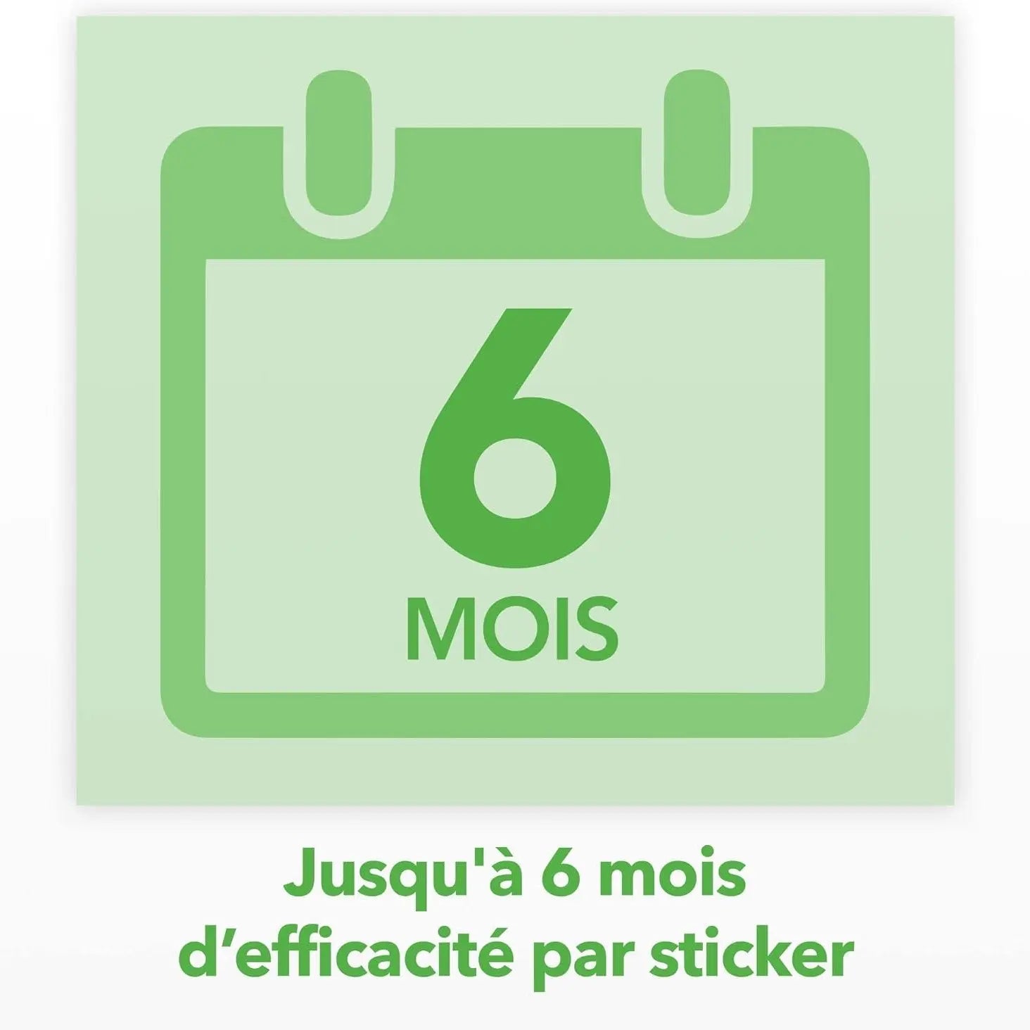 Raid Essentials Piège Mouches Stickers - 6 Mois, Sans Parfum - Cpourtoi.Net