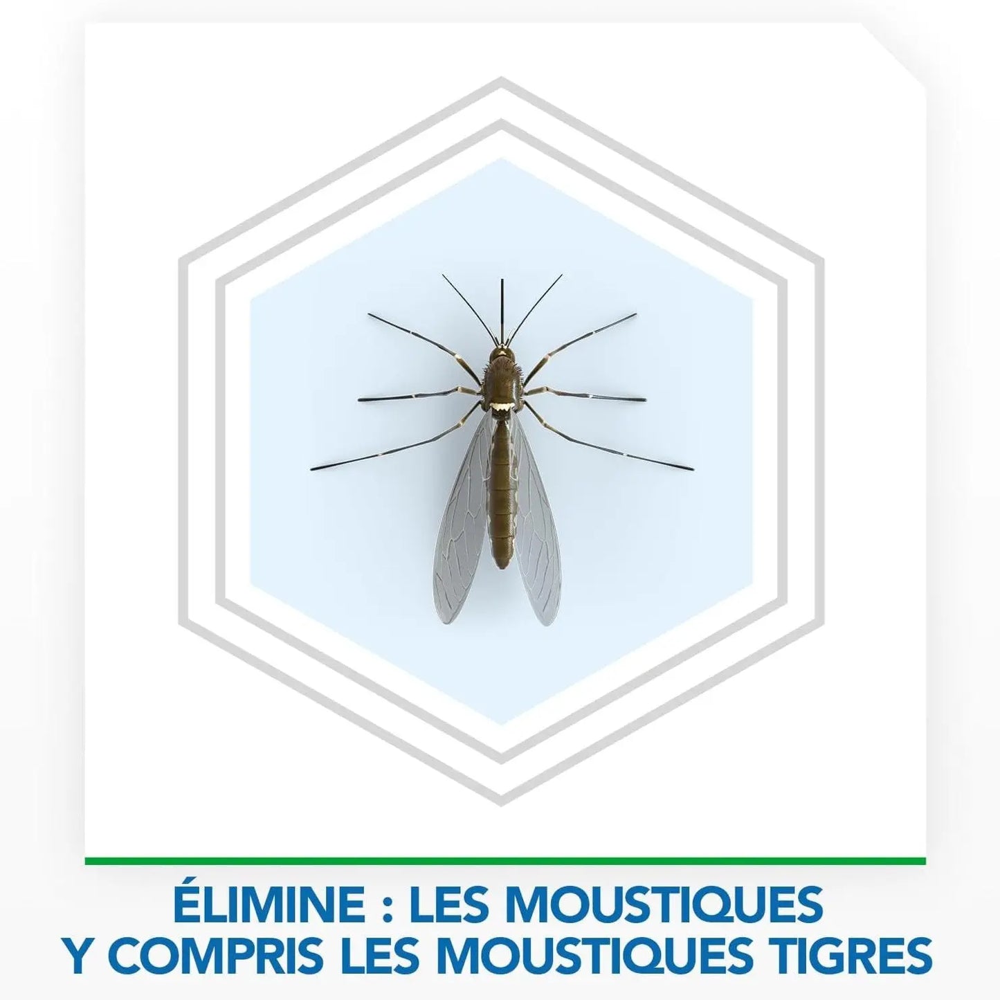 Raid Max Diffuseur Nuit & Jour Moustiques - Protection 24h, Sans Parfum - Cpourtoi.Net