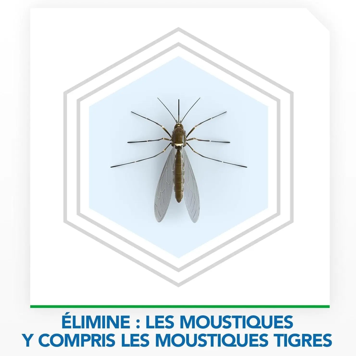 Raid Max Diffuseur Nuit & Jour Moustiques - Protection 24h, Sans Parfum - Cpourtoi.Net