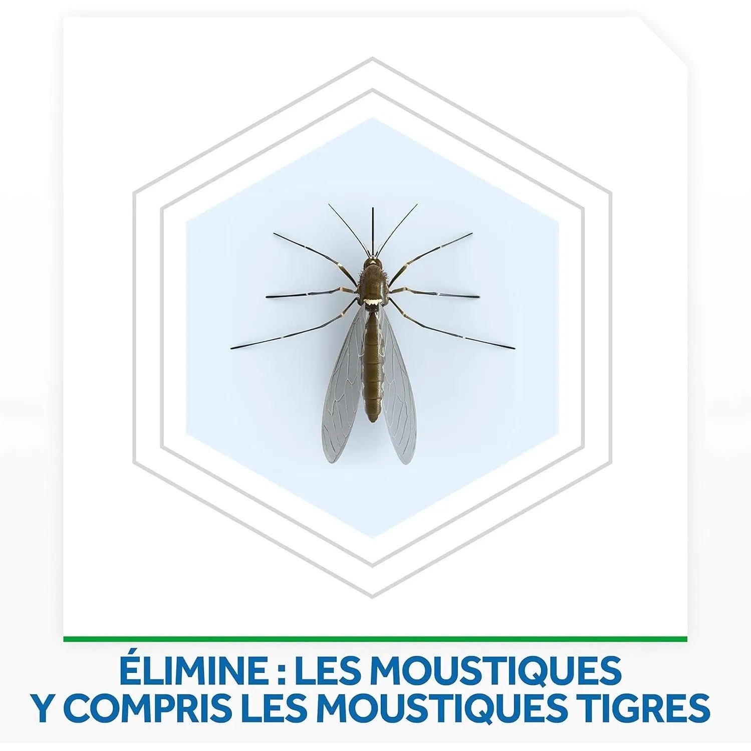 Raid Max Moustiques Électrique Liquide – Protection Efficace jusqu'à 60 Nuits - Cpourtoi.Net