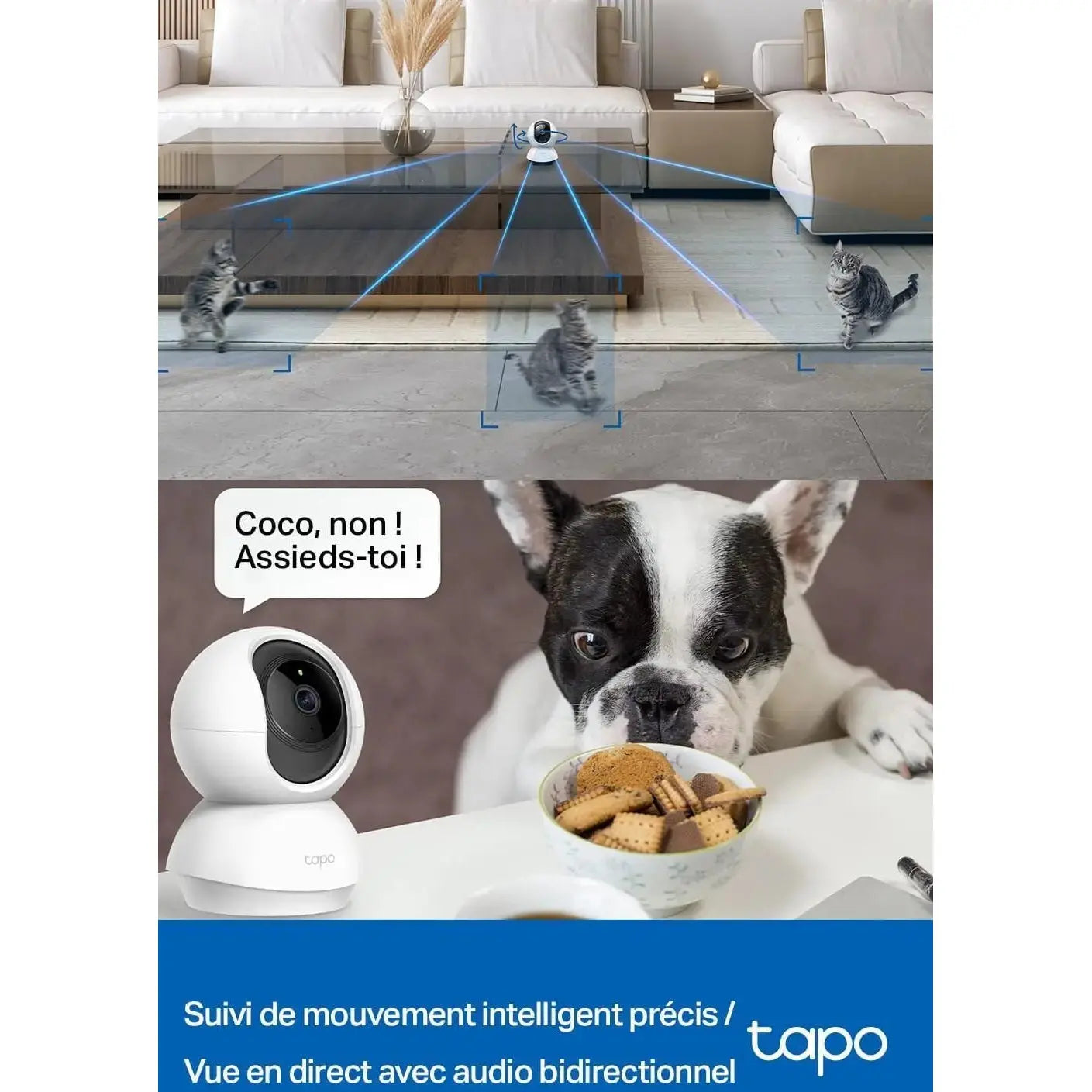 Tapo C200C 360° 1080P Indoor WiFi Surveillance Camera Night Vision Real Time Notifications Person Detection Motion Tracking Remote Control Compatible with Alexa Cpourtoi.Net