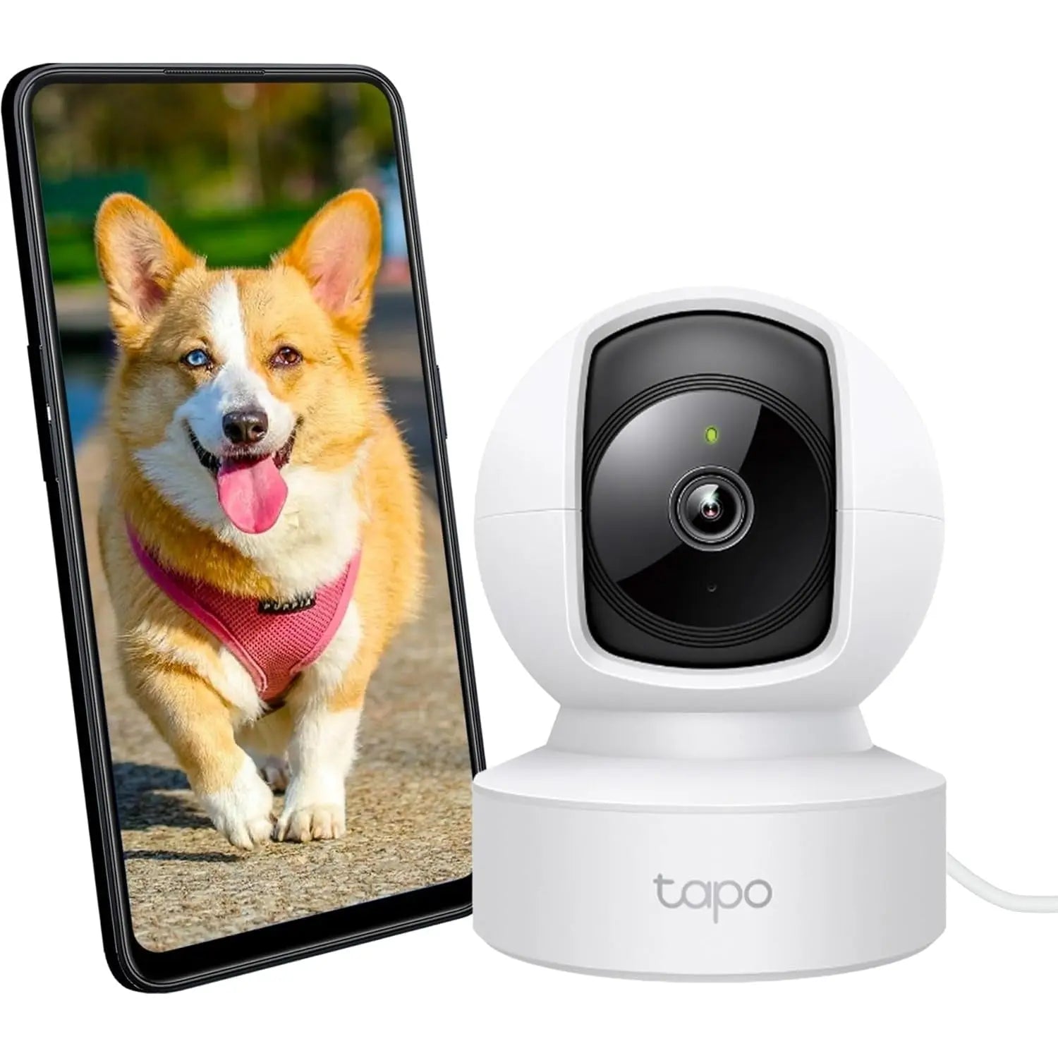 Tapo C220 2.5K Caméra de Surveillance WiFi intérieure 360° avec Détection Humaine AI - Cpourtoi.Net