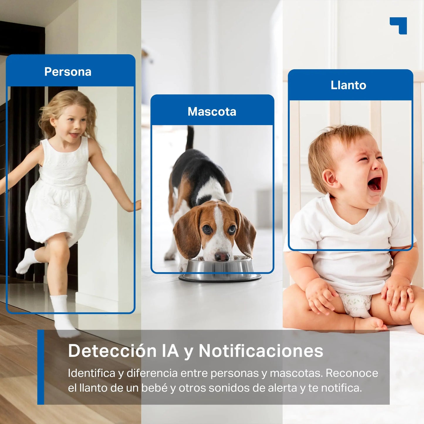 Tapo C220 2.5K Caméra de Surveillance WiFi intérieure 360° avec Détection Humaine AI - Cpourtoi.Net