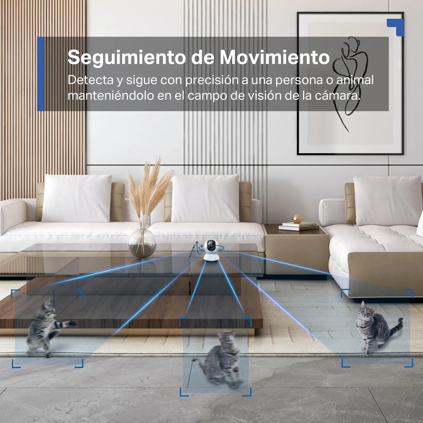 Tapo C220 2.5K Caméra de Surveillance WiFi intérieure 360° avec Détection Humaine AI - Cpourtoi.Net