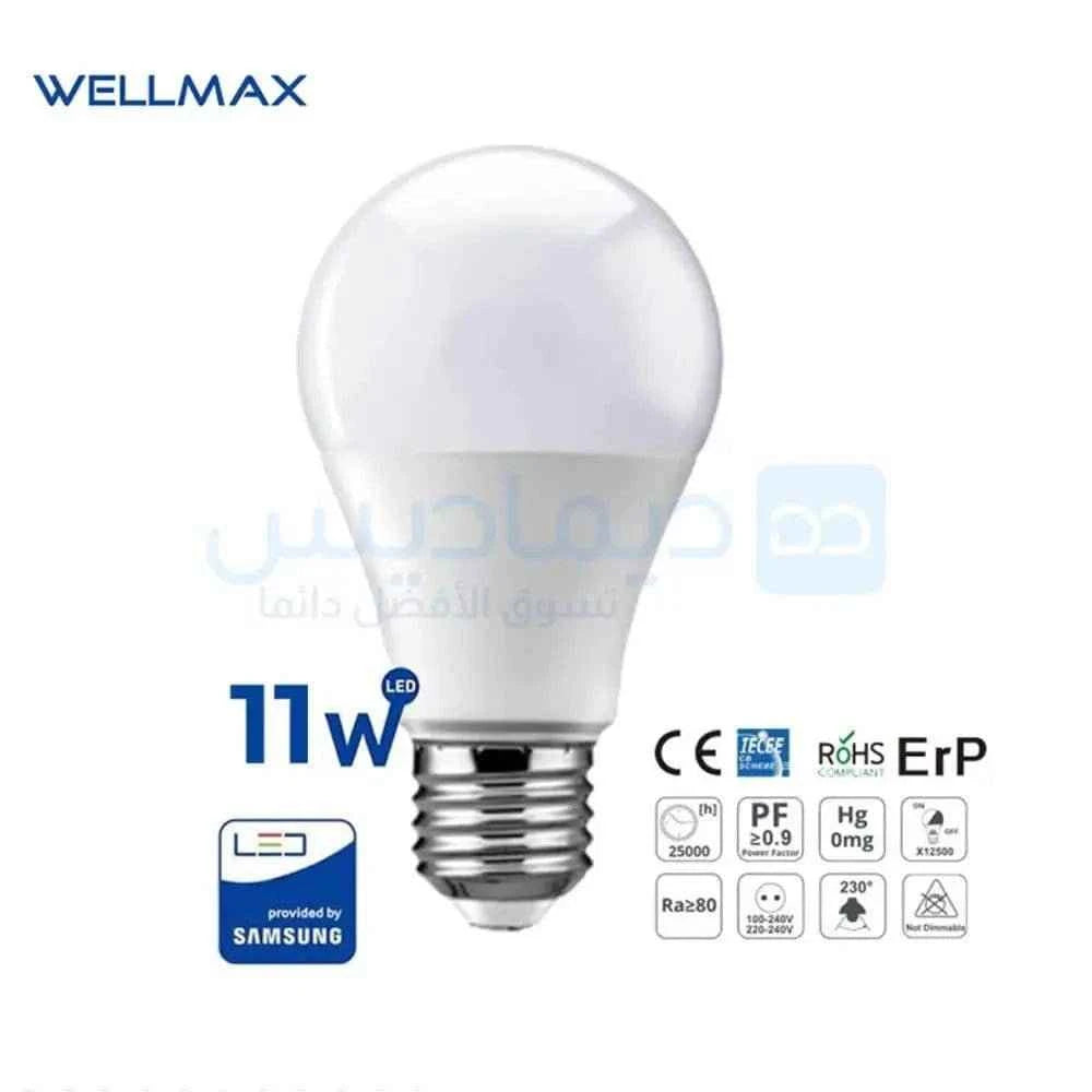WELLMAX Ampoules Rechargeables 11W - Cpourtoi.Net