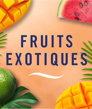 Febreze Petit Coin Fruits Exotiques - Désodorisant Continu Salle de Bain, Élimination des Odeurs et Fraîcheur d'Air - Cpourtoi.Net