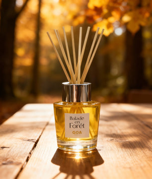 GOA Balade En Forêt Goatier - Désodorise, Purifie l'Air - Cpourtoi.Net