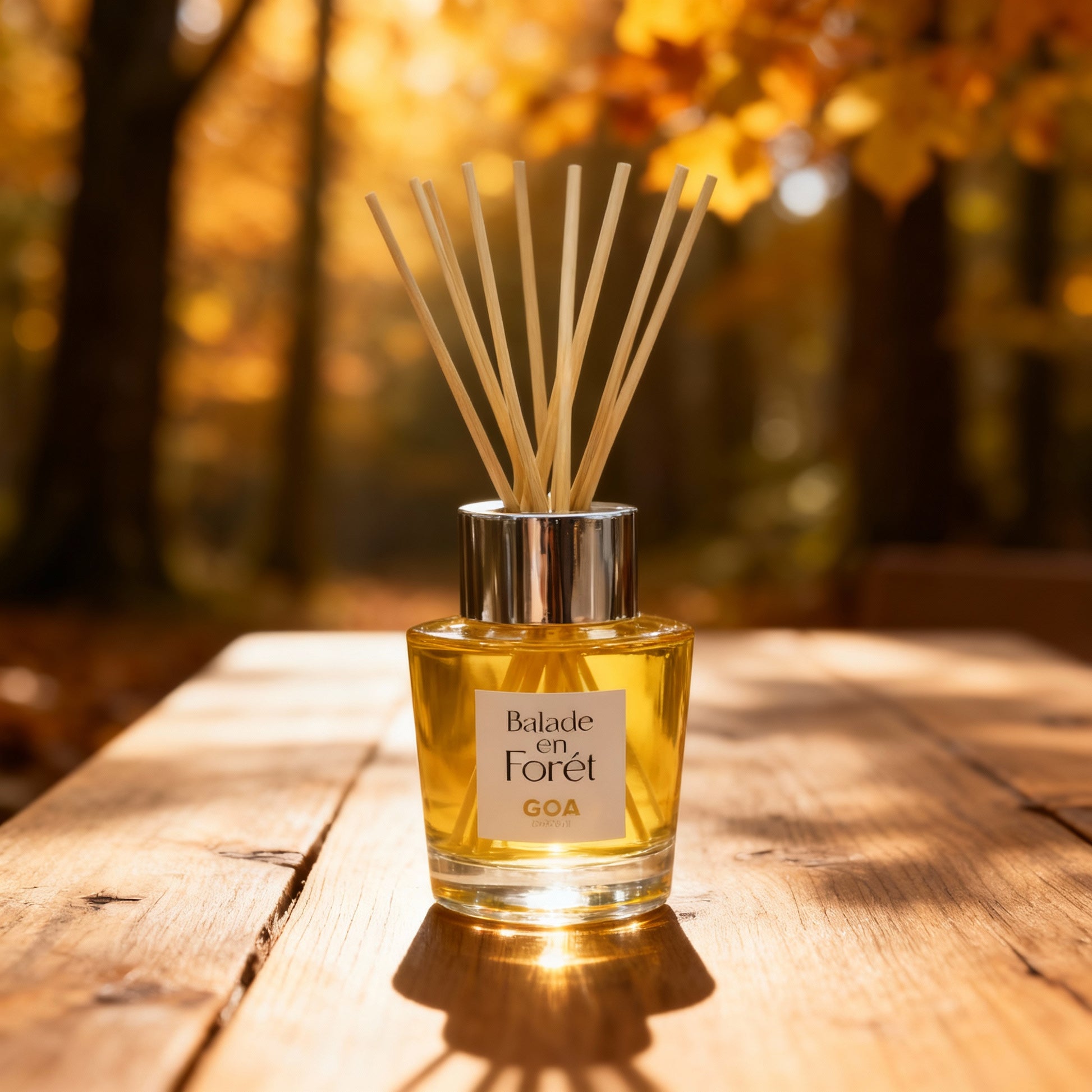 GOA Balade En Forêt Goatier - Désodorise, Purifie l'Air - Cpourtoi.Net