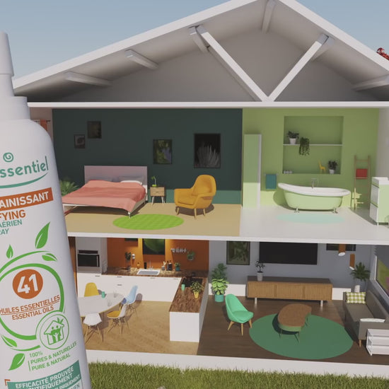 Spray Assainissant Puressentiel - 41 Huiles Essentielles devant une maison en coupe. Idéal pour purifier toutes les pièces du foyer.