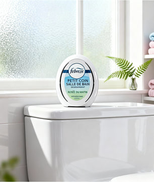 Febreze Petit Coin Rosée Matin - Fraîcheur durable et absorption des odeurs - Cpourtoi.Net