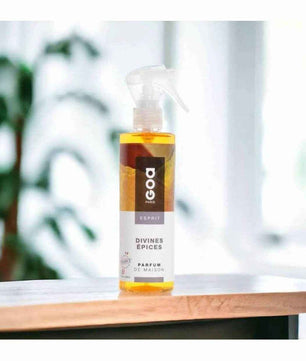 Goa Esprit Vaporisateur Divines Épices 250ml: Parfum d'Ambiance et Senteurs - Cpourtoi.Net